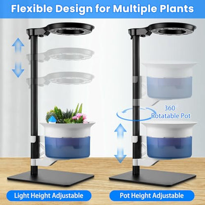 Large Plant Venus Fly Trap Terrarium Pot with Grow Light,Timer&Metal Stand | Self Watering Planter Pot for African Violet,Venus Fly Trap,Carnivorous Plants, Herbs,Flowers,Christmas Gift for Garden Lover