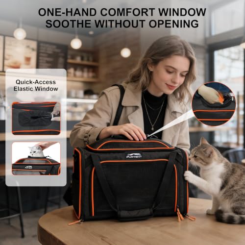 Expandable cat Carrier Soft Sided Airline Approved Pet Carrier Up to 12lbs | Top & Side Expandable, 360° Breathable Mesh, Anti-Collapse Frame, Built-in Safety Leash, Reversible Cushion for Cat Small Dog - color: Black