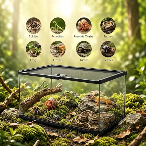 12x8x6 Reptile Enclosure, Glass Terrarium for Geckos, Lizards | Clear glass enclosure for leopard geckos, lizards, frogs, snails & isopods. Easy assembly with escape-proof locking lid.