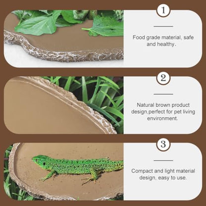 2Pcs Reptiles Water Dish Resin Pet Food Feeding Bowls Lizard Tortoise Turtle Food and Water Bowls Reptile Supplies Resin Brown Compact and Light Material Design Easy to Use, 2 PCS