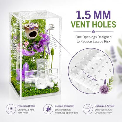 Jumping Spider Enclosure,DIY Insects Habitat,Small Reptile Terrarium Glass House Accessories Set,with Jumping Bridge Hide Water Feeder (Purple) - color: Purple