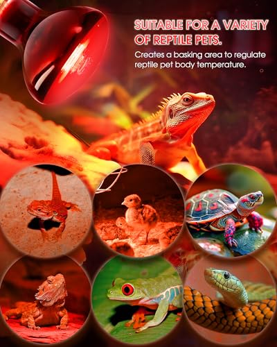 100W Reptile RED Heat Lamp Bulbs, Reptile & Amphibian Basking Spot Bulbs | UVA dimmable light for Chickens Coop Pets Brooder Bearded Dragon Lizard Tortoise Use, Pack of 2 - color: Red