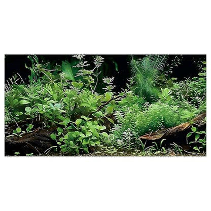 Aquatic Plant Aquarium Background, River Bed & Lake Tropical Undersea Tree BranchFish Tank Background, 6 EVA Double-Sided Tapes 36x18 inches/90x45 - color: Green, size: 36"L x 18"W