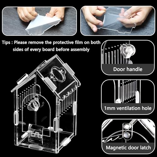 House-Shaped Acrylic Spider Enclosure, Clear Habitat with Feeding Port | Clear acrylic enclosure with feeding port, ventilation, and house-shaped design for jumping spiders and small invertebrates. - size: Acrylic House