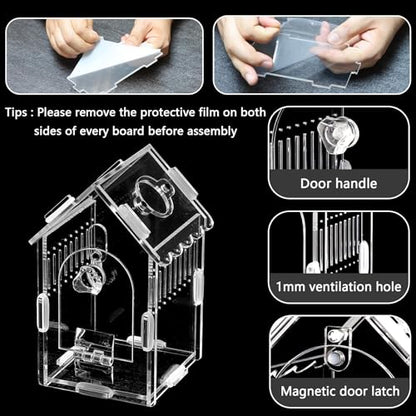 House-Shaped Acrylic Spider Enclosure, Clear Habitat with Feeding Port | Clear acrylic enclosure with feeding port, ventilation, and house-shaped design for jumping spiders and small invertebrates. - size: Acrylic House