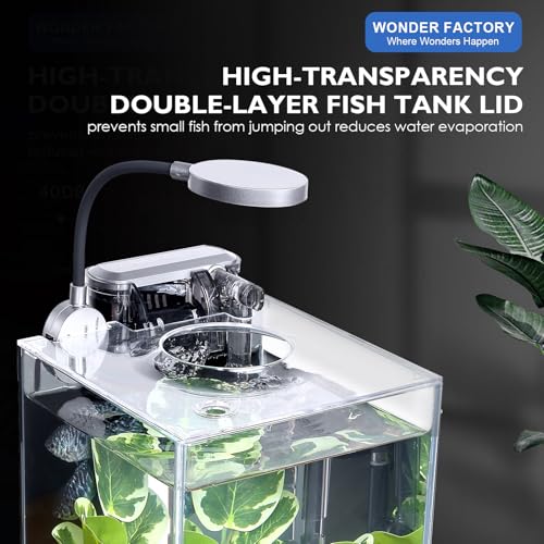 Desktop Small Aquarium Set Glass Fish Tank 1.25 Gallon, with Water Pump Filter Bright LED Light Gravel Cleaning Tool, Starter Kit Small Space Easy Setup Space-Saving Design Betta Shrimp - size: 1 gallon