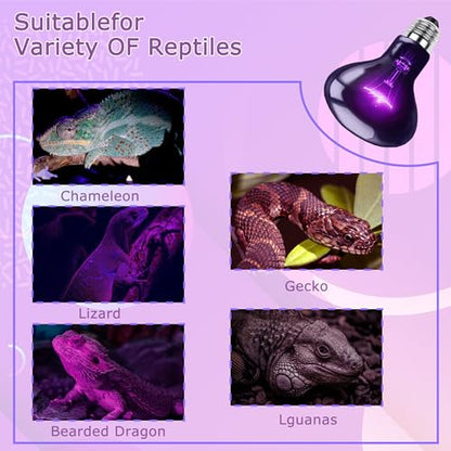 Reptile Night Light Bulb, UVA Heat Lamp, Simulated Moonlight Glow | Creates a Gentle Nighttime Environment, Promotes Natural Activity Cycles, Ideal for Reptile Habitats & Terrariums - color: Purple Moonlight, size: 75W-3.15″