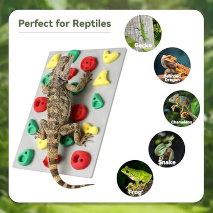 MITCHENIFY Reptile Climbing Wall, Bearded Dragon Accessories Toys | PLA Plastic, Simulating Natural Instincts, Habitat Enrichment Decor, Gift for Reptile Owners