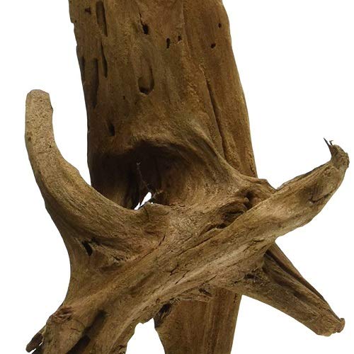 Galápagos (05285) Sinkable Driftwood Bed, Natural, Medium/11-13 (Pack of 2) - size: Medium/11-13" (Pack of 2)