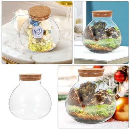 Glass Terrarium Jar with Cork Lid for Micro Landscape Plants, 13cm Round Ecosystem Bottle Suitable for Succulent, Moss, and Desk Display