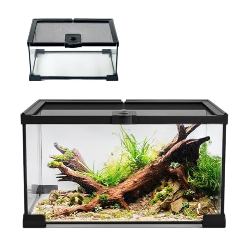 4 Gallon Glass Reptile Terrarium 12"x8"x8" | Stackable, Full View Tank, For Leopard Gecko, Frog, Snake, Hermit Crab, Tarantula, Jumping Spider - size: 12*8*8in