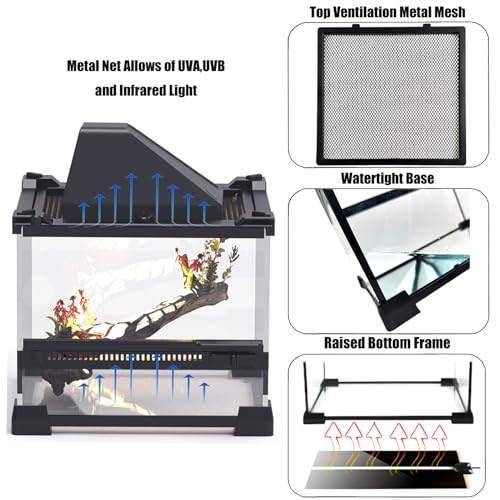 Woyrise Reptile Glass Terrarium Tank 8"x8"x5.7", Front & Top Opening Door Full View Visually Appealing Mini Reptiles or Amphibians Habitat, Stackable Enclousure for Small Reptiles