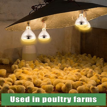 4 Pack 250 Watt Heat Lamp 120v R40 Heat Lamp Bulbs Glass Incandescent Light Bulbs Incandescent Heating Lightbulbs for Reptiles Chicks Food Puppies Bathroom, Use E26 Base (Silver) - color: Silver