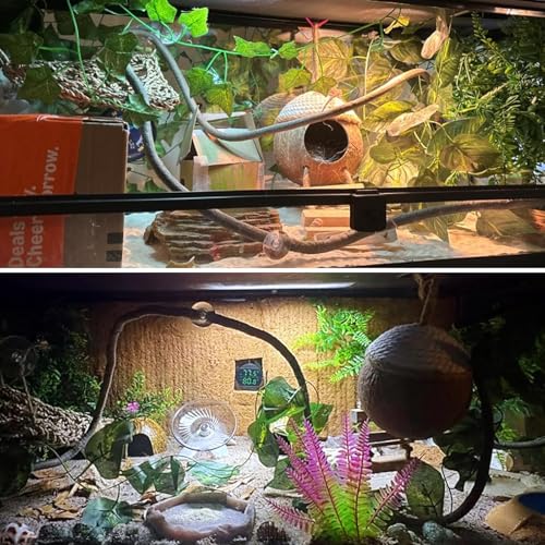 Leopard Gecko Coconut Hut with Ladder,Grested Gecko Coco Den Lizards Hanging Coconut Shell Hideout Cave Reptiles Tank Accessories Climbing Hanging Plants Jungle Vine Flexible Leaves Decor - style: 【Style D】