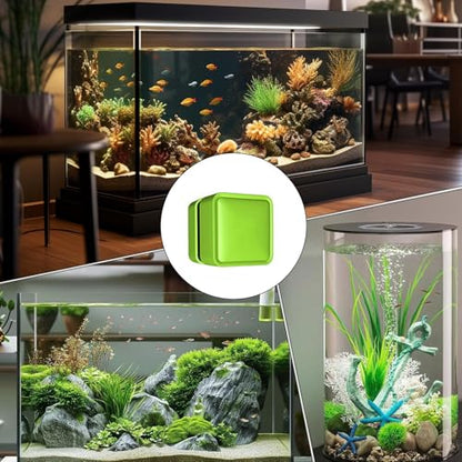 Aquarium Magnet Glass Cleaner Small Brush Scrubber Remover | Fish Tank Cleaning Tools for Home Kitchen Living Room Saltwater Algae Turtle Reptile Terrarium Water Wall Betta Fish Tank - color: Green