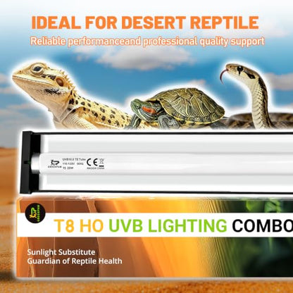 T8 Reptile Light Fixture with 10.0 HO UVB Bulb Lighting 20W, High Output UVB Light for Reptiles Terrarium Hood, 24Inch UVB Light for Desert Bearded Dragon, Lizards, Tortoise Terrarium Tank - size: 24INCH-10.0