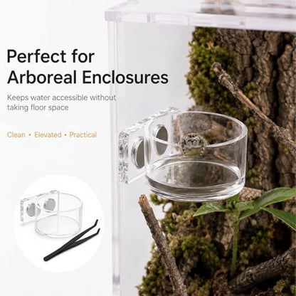 2 Pack Jumping Spider Feeding Dish – Acrylic Magnetic Water Bowl with Feeding Tong | Leak-Proof Tarantula Food Dish Small Reptile Water Dish | Jumping Spider Enclosure Accessories - color: 2 pcs