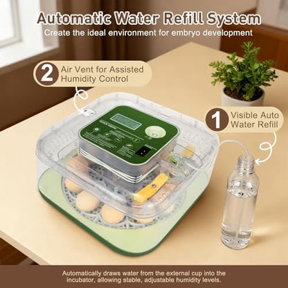 Series IV - 12 Egg Fully Automatic Incubator, Low Maintenance, Intelligent Sensor-Based Precise Humidity & Temp Control, Custom-Interval Auto Turn & Auto Stop, Preset Incubation Days, Candler, Alarms - size: New 12-Egg Green
