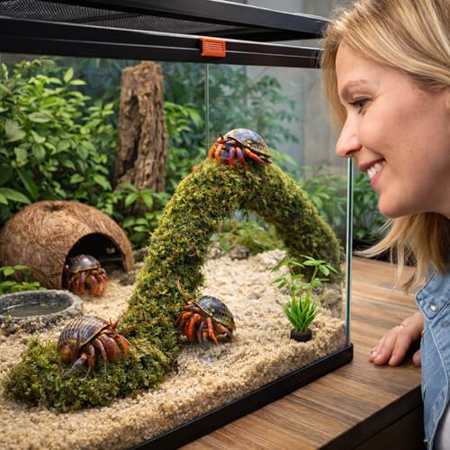Mechpia Hermit Crab Accessories, Hermit Crab Climbing Toys Bendable Bridge Coconut Shell Hideout Hut Plants for Reptile Amphibians Supplies