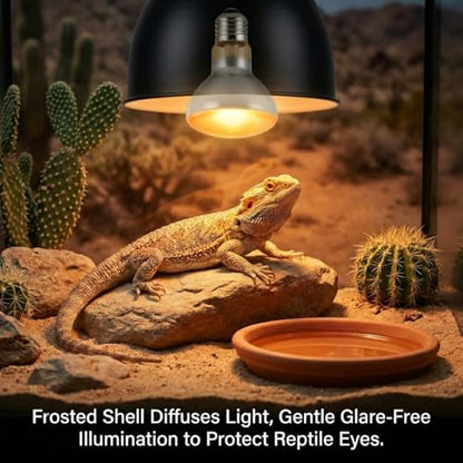 2Pack 100W UVA Simulate Natural Daylight Reptile Heat Lamp Bulbs | Terrarium Reptile Basking Bulbs for Reptiles, Bearded Dragon, Lizard, Chicken, Turtle, Snake