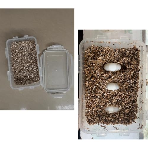 Reptile Feeding Box Turtle Transport Breeding Box Egg Incubator Container with 1.1lb Reptile Substrate Vermiculite Bedding for Snake Tortoise Lizard Hatching Eggs