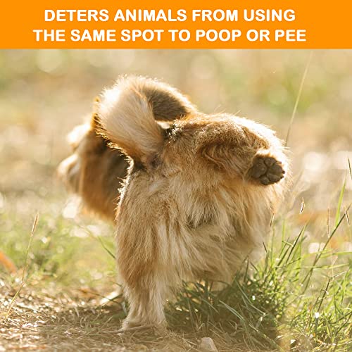 MICROBE-LIFT Outdoor Pet Odor Eliminator For Strong Odor On Turf, Patios, Deck, and Lawns - Keeps Pets From Going in Same Spot, 32oz - size: 32 Fl Oz (Pack of 1)