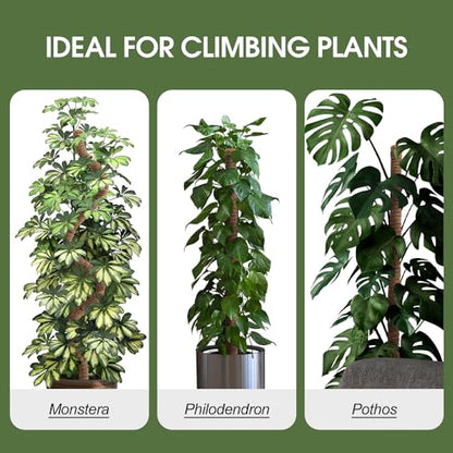 4 Pack Moss Pole 63 Inch Monstera Plant Sticks Support Tall Long Stakes | Climbing Indoor Large Bendable Handmade DIY Shape Grow Upwards - color: 4 Pack