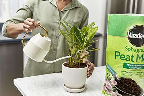 Miracle-Gro Sphagnum Peat Moss, 8 qt. (2-Pack) | Enriched with Plant Food, Add to Potting Mix and Native Soil - size: 8 QT 2-Pack