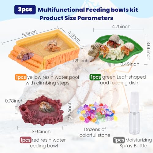 5 Pack Hermit Crab Water Pool Hermit Crab Food Bowl Dish Reptile Terrarium Water Bowls Reptile Starter Kits Accessories for Hermit Crab Leopard Gecko Frog Spider Lizard Turtle Bearded Dragon etc