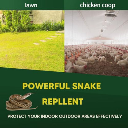 Mole & Snake Repellent, Gopher Repellent Outdoor, Vole & Groundhogs Repellant for Yard, Armadillo & Snake Deterrent for Lawn Pet Safe, Keep Snake Away for Garden/Garage, Safe to Use-10P - size: 1 Ounce (Pack of 10)