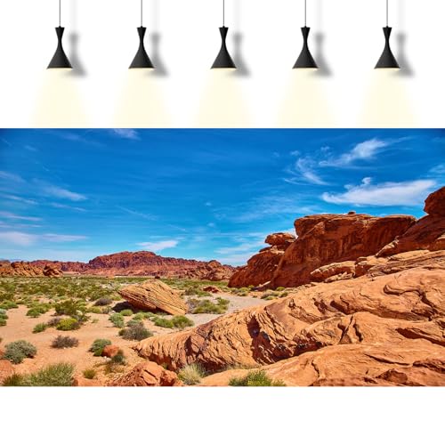 Terrarium Background Red Rocks Reptile Terrarium Background Reptile Tank Background Desert Rocky Bush Thorns Wilderness Reptile Habitat Background Bearded Dragon Tank Aquarium Background 24x12in - color: Oasis Brown, size: 24(W)x12(H)inches/ 60(W)*30cm(H)