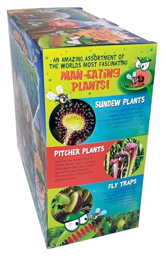 Toys by Nature Biosphere Carnivorous Creatures Terrarium Starter Kit with Complete Supplies to Grow Meat-Eating Plants! Ideal for Indoor Home Plant and Creative Displays - style: Carnivorous Creatures