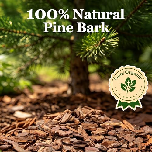 30 QT Organic Orchid Potting Bark, Natural Bark Growing Medium | For Orchids, Houseplant & Potted Plant, Improves Drainage, Root Health & Garden Soil Structure, Balanced Moisture Retention
