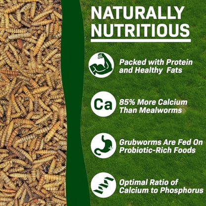 Exotic Nutrition 60 LB Bulk Dried Black Soldier Fly Larvae - High-Calcium Insect Treat - Chickens, Wild Birds, Bluebirds - size: 60 Pound (Pack of 1)