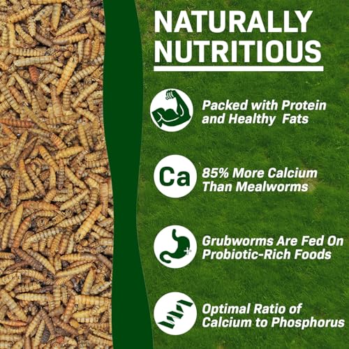 Exotic Nutrition 80 LB Bulk Dried Black Soldier Fly Larvae - High-Calcium Insect Treat - Chickens, Wild Birds, Bluebirds - size: 80 Pound (Pack of 1)