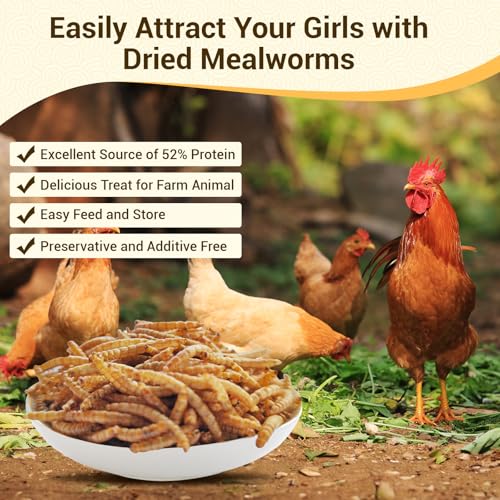22lb Dried Mealworms for Chickens Duck High Protein Birds Treat | Hand Inspected Poultry Feed, Wild Birds and Chicken Treats, Laying Hens & Bluebirds Food, Worms Fed a Clean Natural Diet - size: 22 Pound (Pack of 1), style: Mealworms
