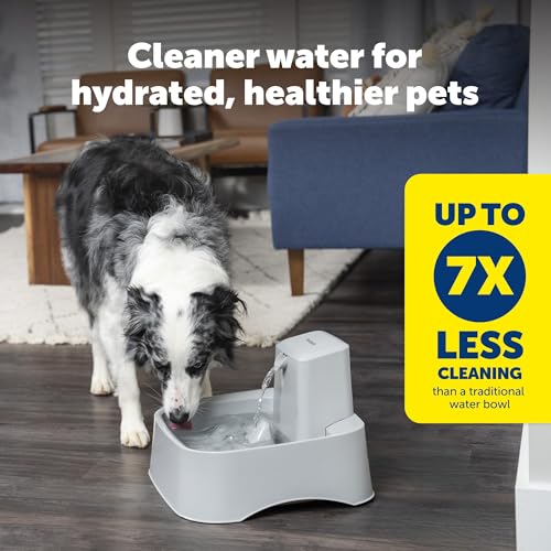 PetSafe Oasys 2 Gallon Pet Fountain | Adjustable Water Flow, Whisker-Friendly Tray, Dishwasher-Safe, Replaceable Carbon & Foam Filters Included - size: 2 Gallon