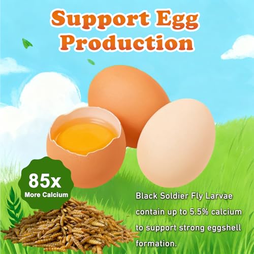 5.5 LBS Dried Black Soldier Fly Larva/Dried Mealworms - 100% Natural BSF Larvae - 85XMore Calcium Than Mealworms - High Calcium Treats for Chickens, Birds, Reptiles, Hedgehog, Geckos, Turtles- 5.5 LBS - size: 5.5 Pound (Pack of 1)