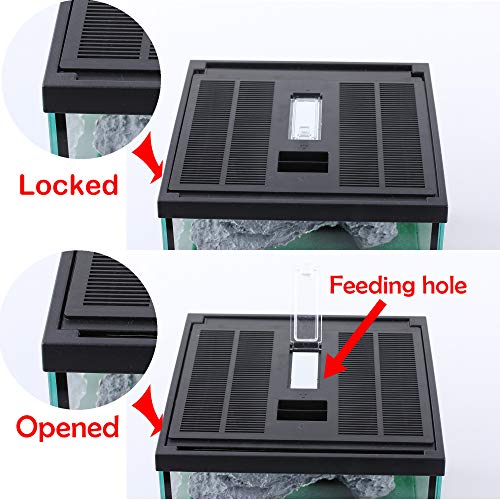 Glass Lizard Tank, Spider Box Kit, 7.8x7.8x5.9'' Tarantula Feeder Insects Beetle Habitat, Amphibians Terrarium for Small Pet, with Washable Mat, Resin Rock Shape Hideout, Artificial Flower | 1.55 US Gal For Baby Gecko And Small Insects, Vented Lockable Li