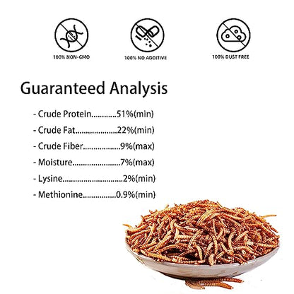 I LOVE WORMS Dried Mealworms (10lb), 100% Natural Non-GMO, High-Protein Mealworms for Chickens, Birds, Ducks, Reptile, Tortoise, Amphibian, Lizard - size: 10 Pound (Pack of 1)