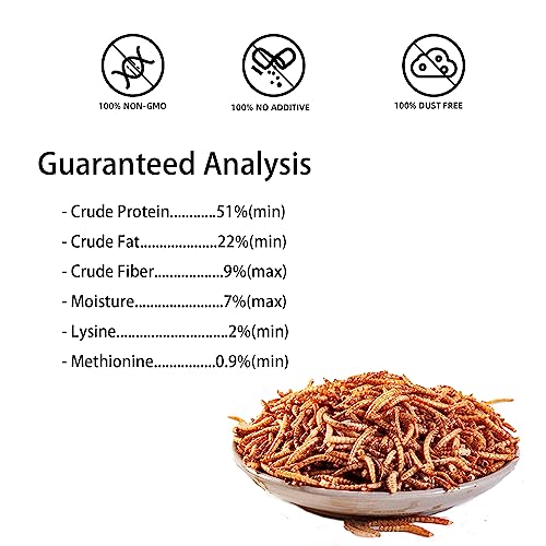 I LOVE WORMS Dried Mealworms (5lb), Wild Bird Food, High-Protein Mealworms for Bluebirds, Chickens, Ducks, Reptile, Tortoise, Amphibian, Lizard - size: 5 Pound (Pack of 1)