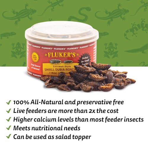 Fluker's Gourmet Canned Food for Reptiles, Fish, Birds and Small Animals, Small Dubia Roaches, 1.2 oz - size: 1.2 Ounce (Pack of 1), style: Small Dubia Roaches