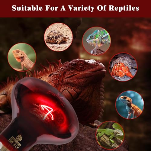Reptile Heat Lamp,100W Red Basking Spot Lamp Bulb for Chickens Amphibians, Infrared Heat Emitter Light for Coop - size: Infrared 100W 1 Pack