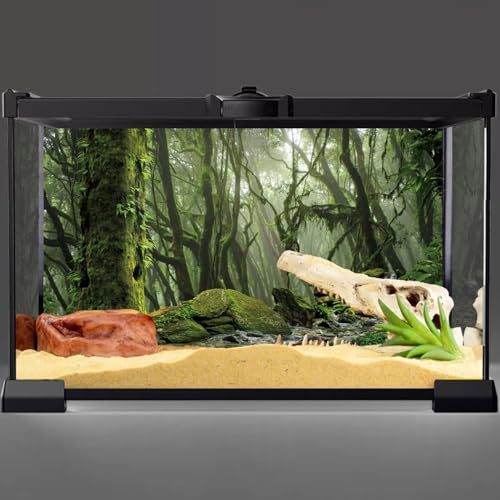 Forest Green Tree Terrarium Backdrop Reptile Habitat Background 48x18 in | AWERT Tropical Foggy Rainforest Stream Aquarium Durable Polyester Background - size: 48 x 18 inches