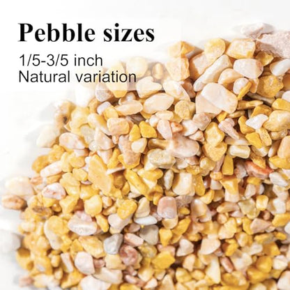 Natural Pea Gravel Pebbles for Plants, Fish Tank Gravel, Small Rocks for Outdoor Landscaping, Terrarium, Fish Tank, Home Decoration (10 Pounds, 1/5-3/5 inch, Yellow)