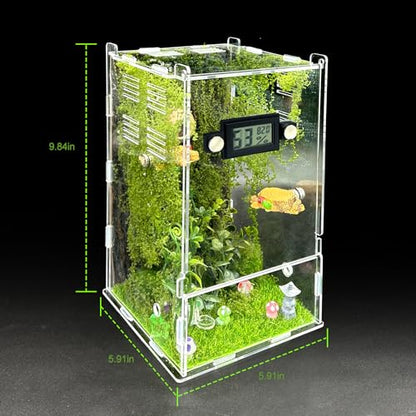 Jumping Spider Enclosure Kit,(Contains All Components) DIY Insects Habitat,Small Reptile Terrarium Glass House Accessories Set,with Temperature and Humidity Detector.5.5“x5.5”x9.5“ (Green)