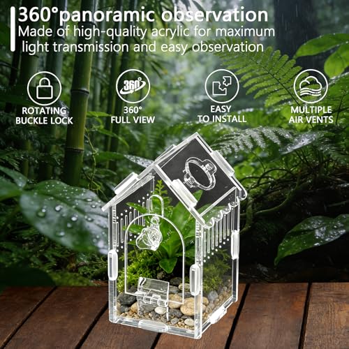 House-Shaped Acrylic Spider Enclosure, Clear Habitat with Feeding Port | Clear acrylic enclosure with feeding port, ventilation, and house-shaped design for jumping spiders and small invertebrates. - size: Acrylic House