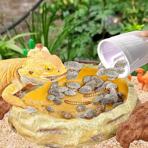 Reptile Cricket Calcium Mixer, Cricket Powder Mixer, Uniformly Mix Reptile Feed, Cricket Nutrients Shaker, Insect Feeder for Gecko, Chameleon, Lizard, Snake