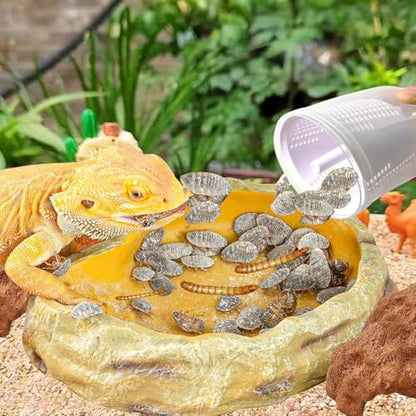 Reptile Cricket Calcium Mixer, Cricket Powder Mixer, Uniformly Mix Reptile Feed, Cricket Nutrients Shaker, Insect Feeder for Gecko, Chameleon, Lizard, Snake