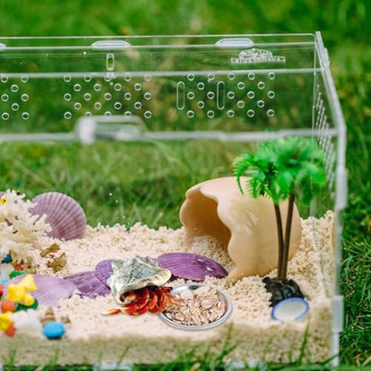 SynHHergyx 4 Pcs Hermit Crab Food & Water Bowl, Small Stainless Steel Feeding Dish for Hermit Crab, Snail, Gecko, Insect